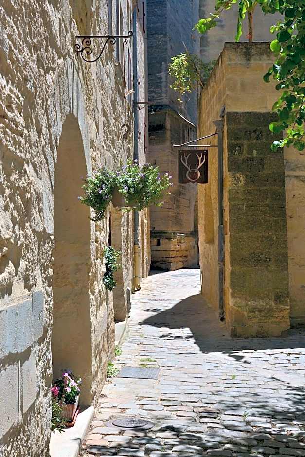 Hotel Restaurant Le Gardon - Pont du Gard