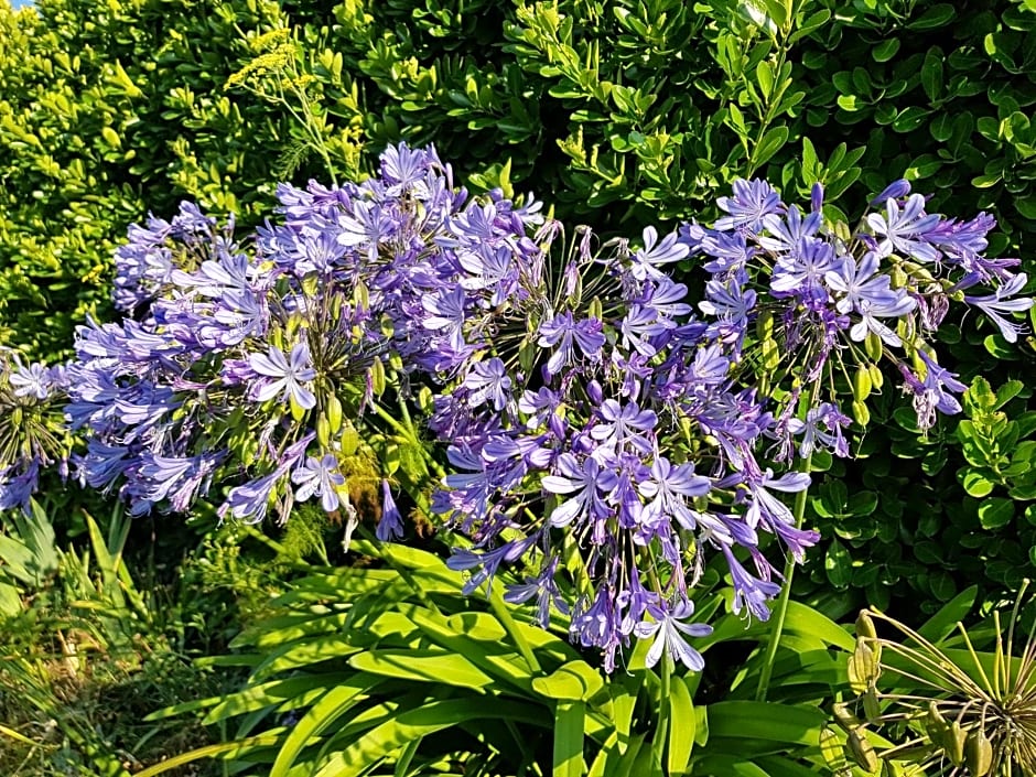 La Minoterie - Studio avec kitchenette et Chambre d'hôtes