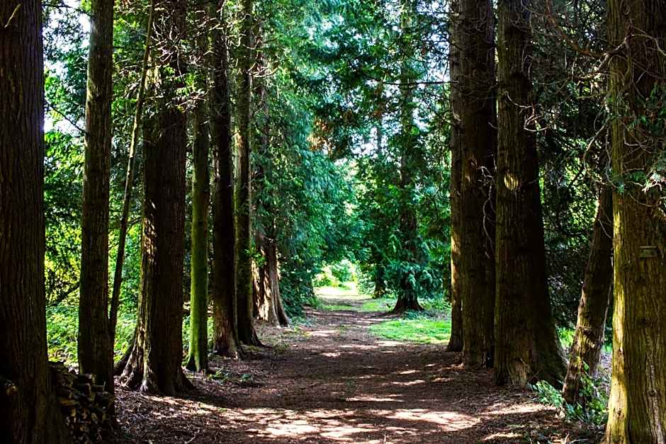 Hawkstone Hall Hotel & Gardens