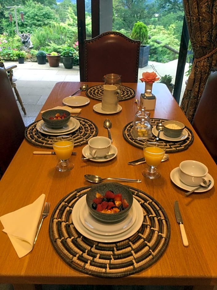 Dwynant - A Room with a View