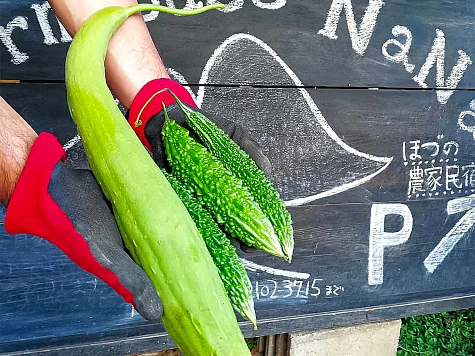 Farmhouse NaNa