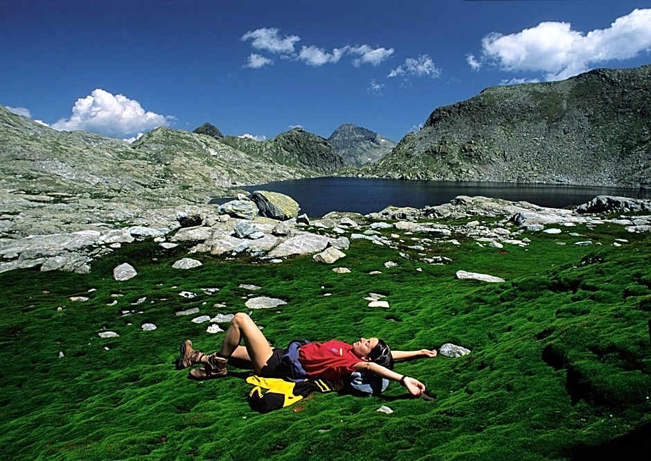 Steinerhaus Berggasthof