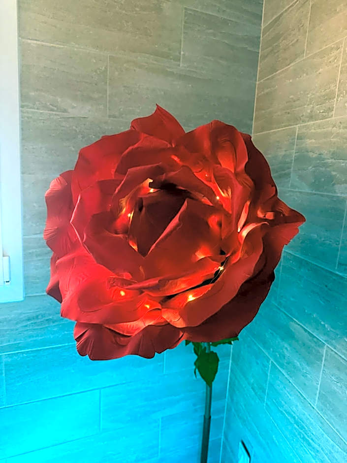 Le Cocon SPA Évasion Privée - jacuzzi -