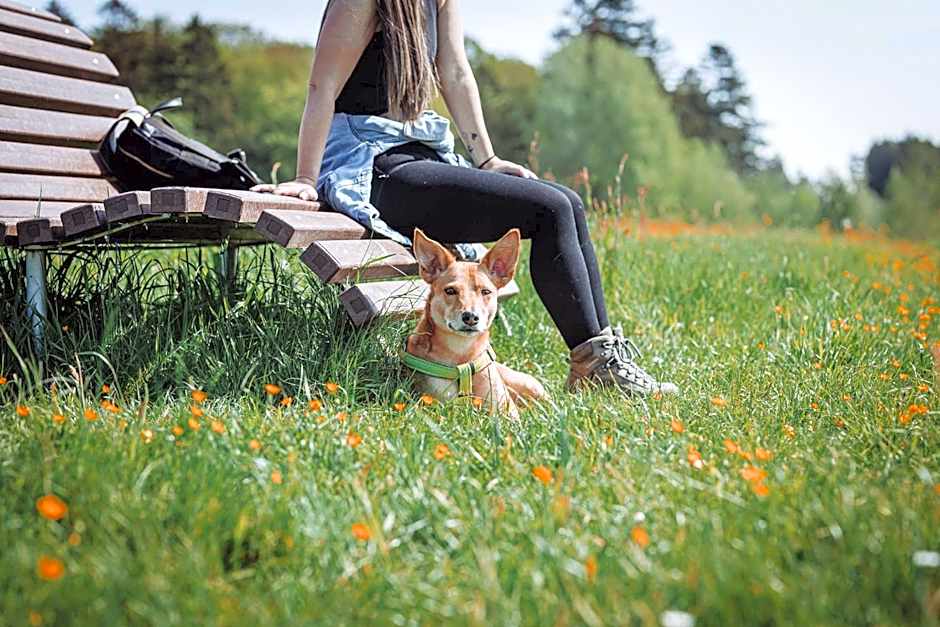 Marienhöh - Hideaway & Spa