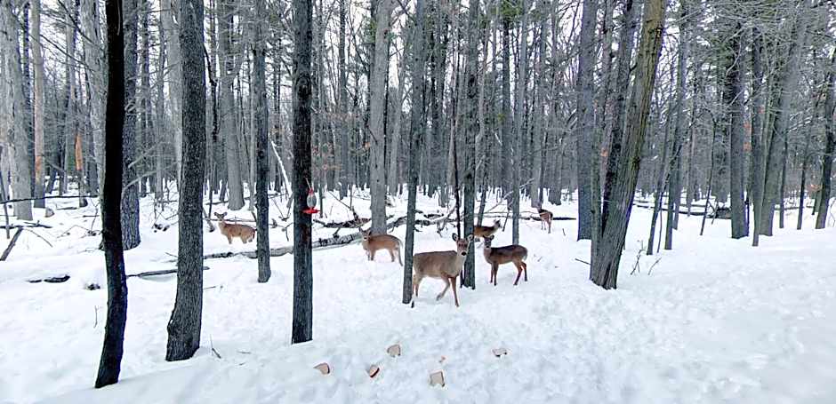 Days Inn & Suites by Wyndham Stevens Point