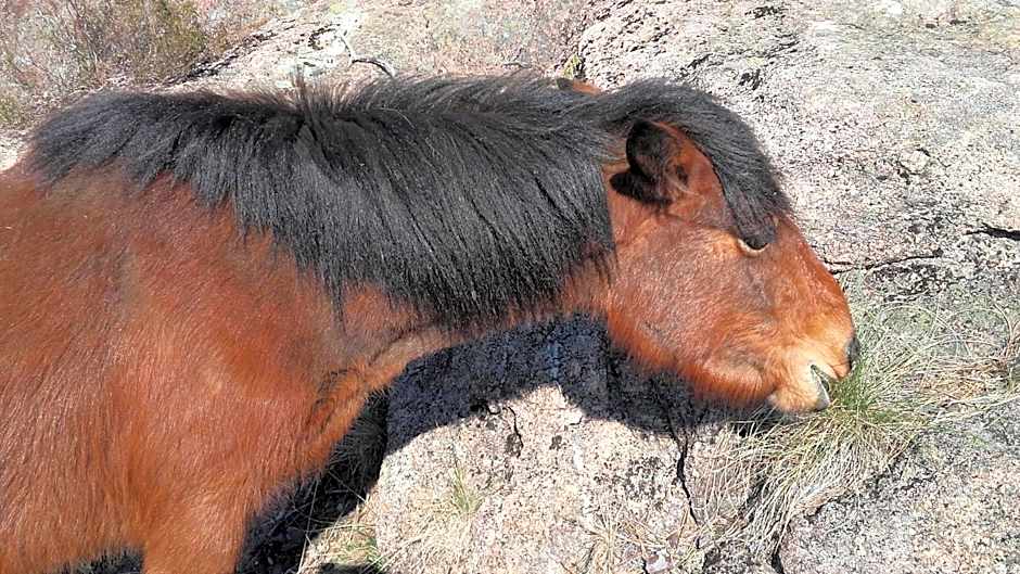 Moderna do Geres Hotel