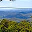 Tamborine Mountain Bed & Breakfast