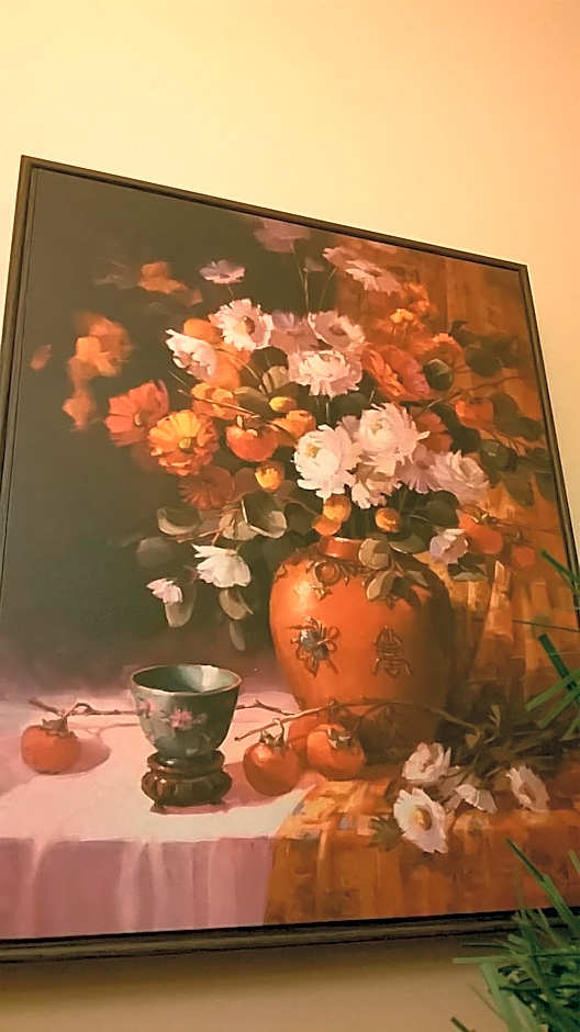 Camera tip economic Mozart