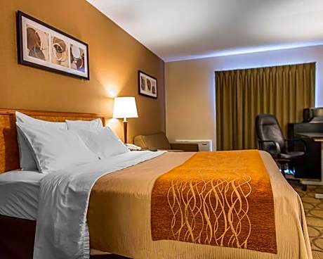 Non Smoking 1 Queen Bed