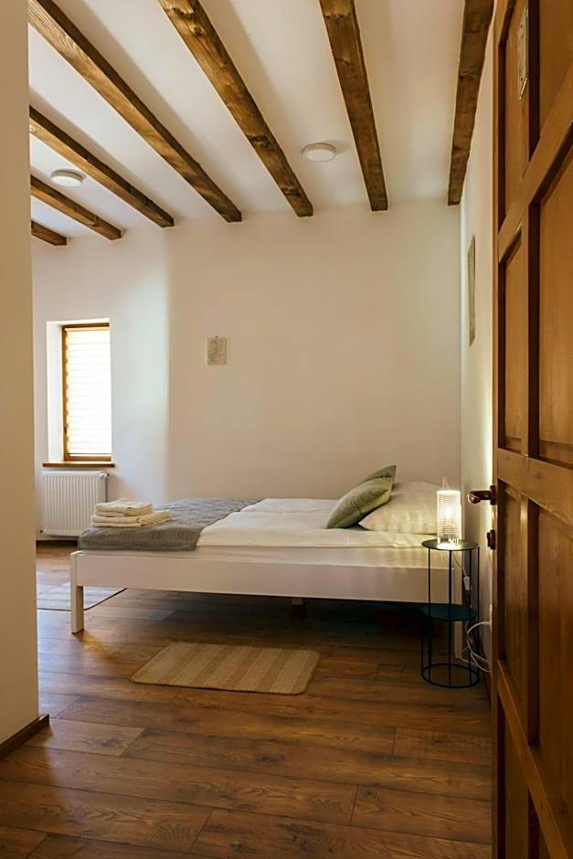 Pensiunea Violin Panzió