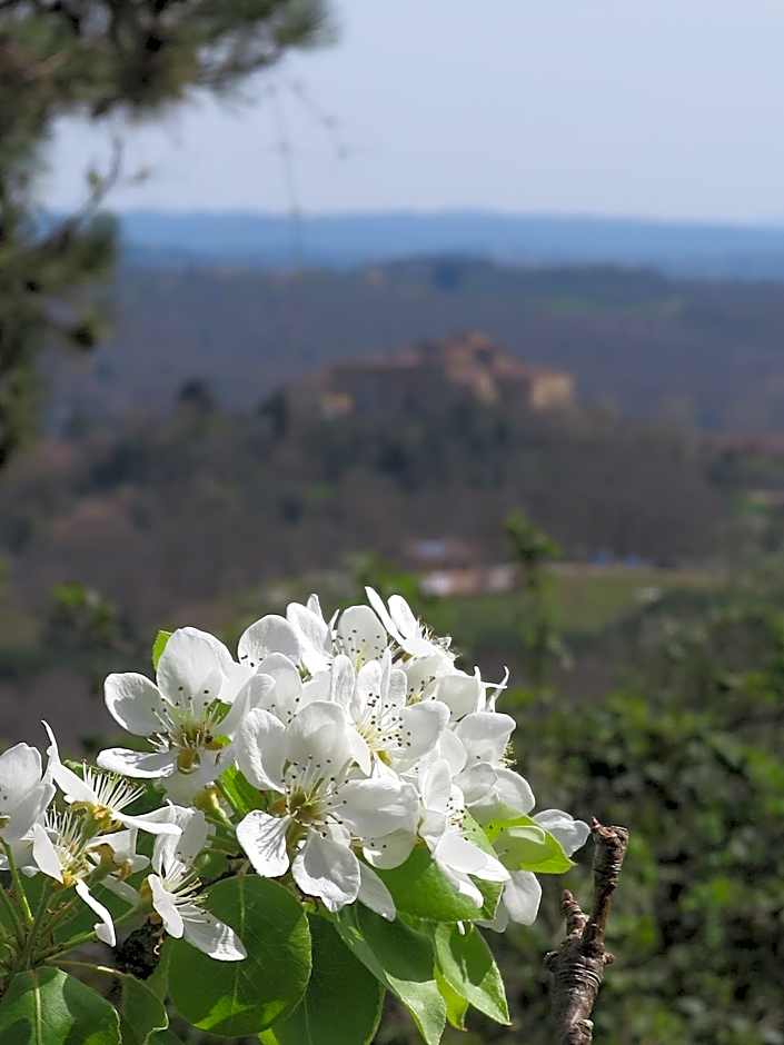 Borgo La Torre alle Tolfe
