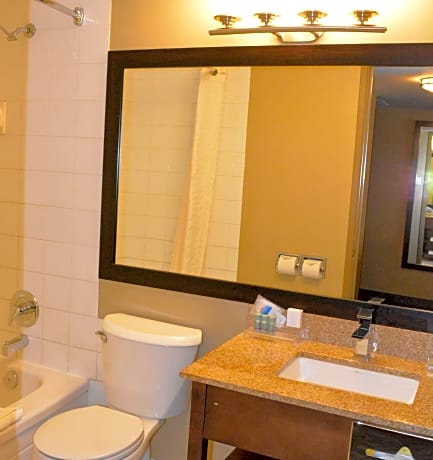2 Double Beds, Non-Smoking, High Speed Internet Access, Mountain View, Microwave And Refrigerator, F
