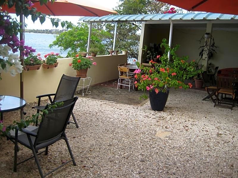 Le Cactus Guest House