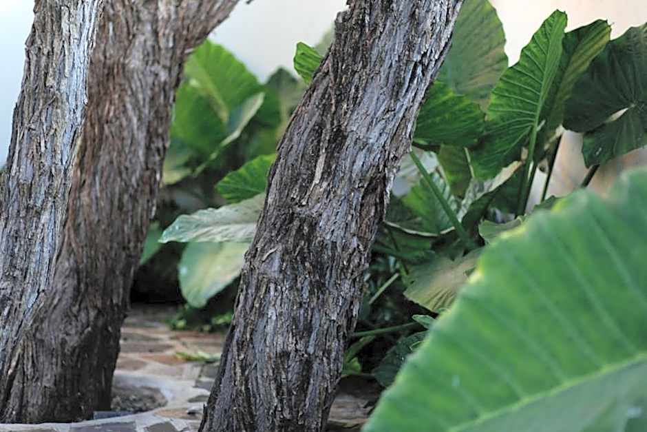 The Hedge Guesthouse