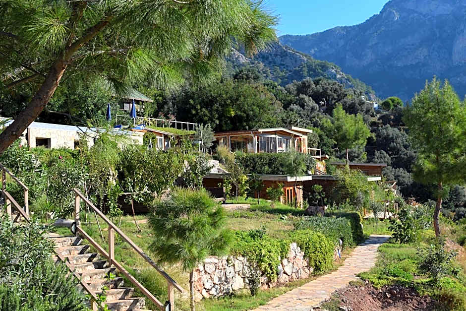 Kabak Avalon Bungalows