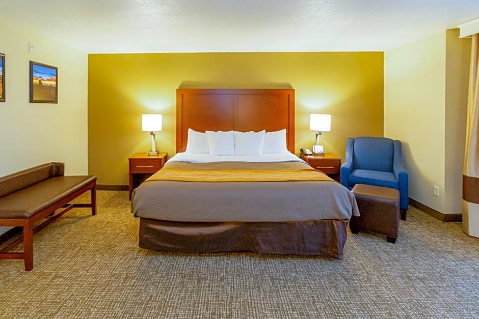 Comfort Inn Downtown Salt Lake City