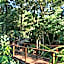 Selva de Laurel