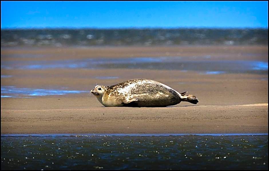Het Huis van de Wadden