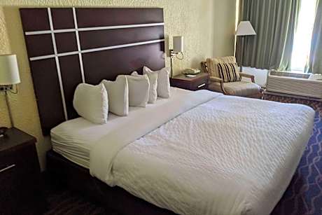 1 King Bed  Deluxe Room  Smoking