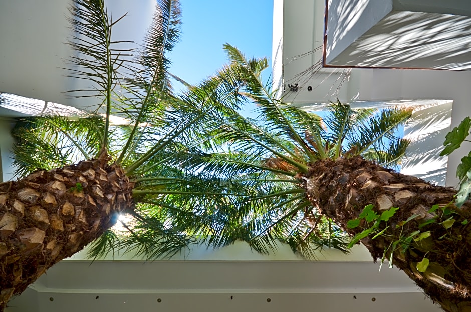 Anatoli (Anatoli Hotel)