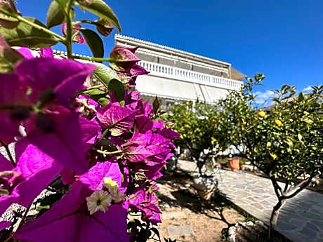 Kamelia Hotel