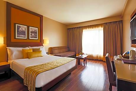 Superior Room with City View