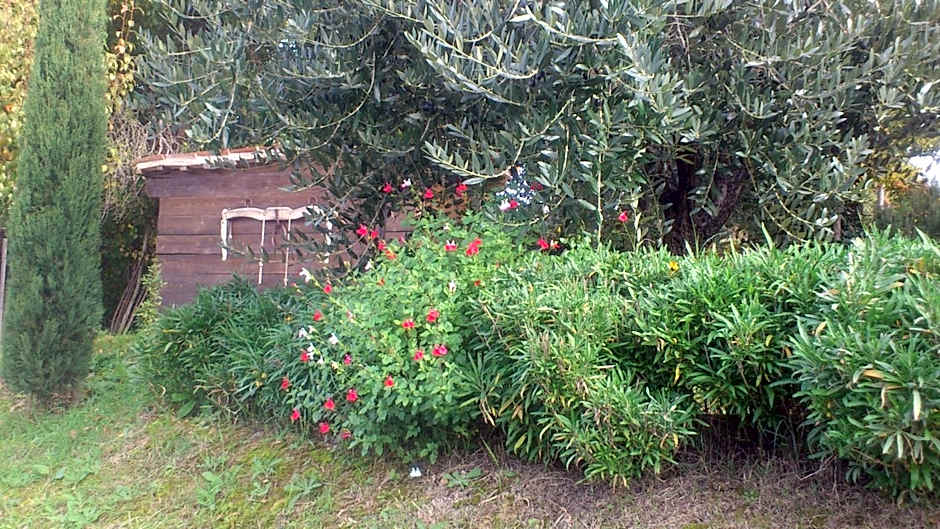 Poggio Dei Prugnoli