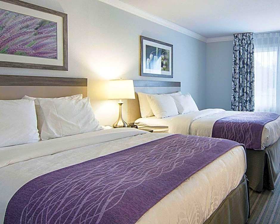 Comfort Inn Williamsburg Gateway