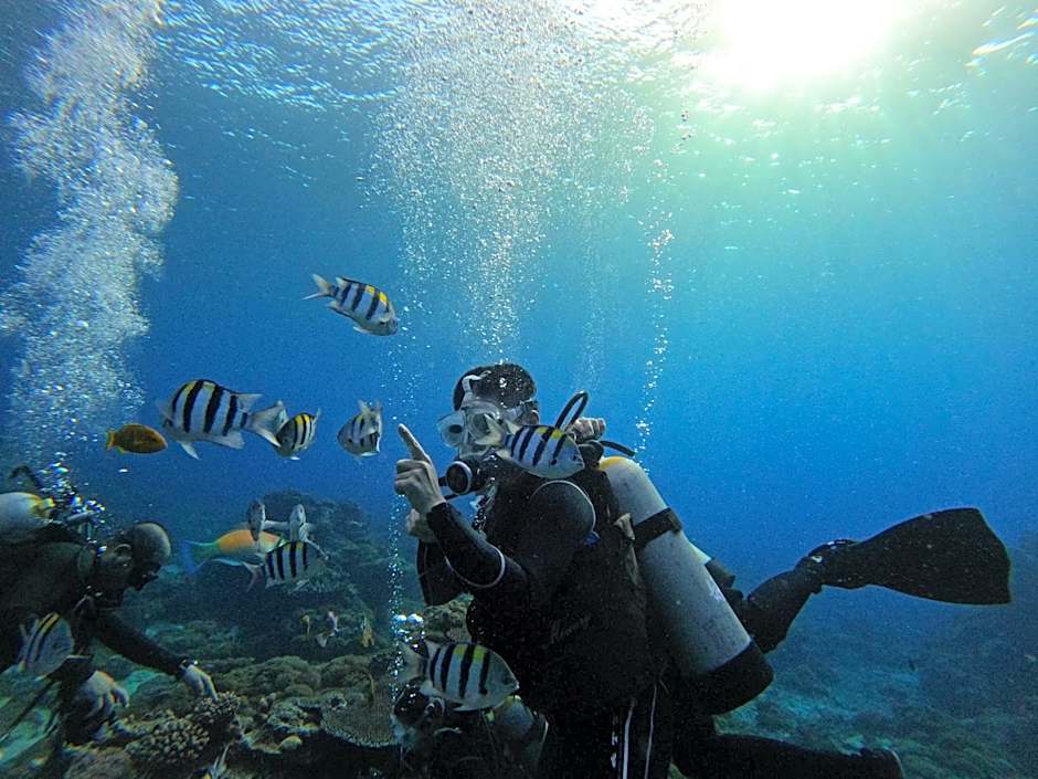 Good Viewing Spot B&B