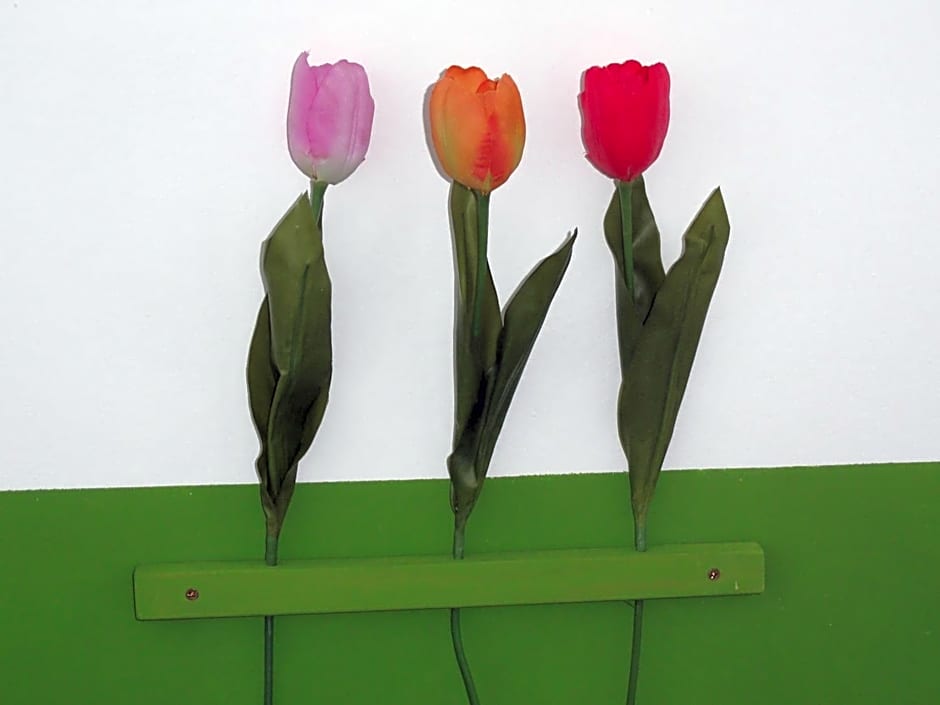 Peanuts Hostel & Meer