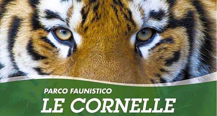 B&B I COLLI DI BERGAMO ALTA