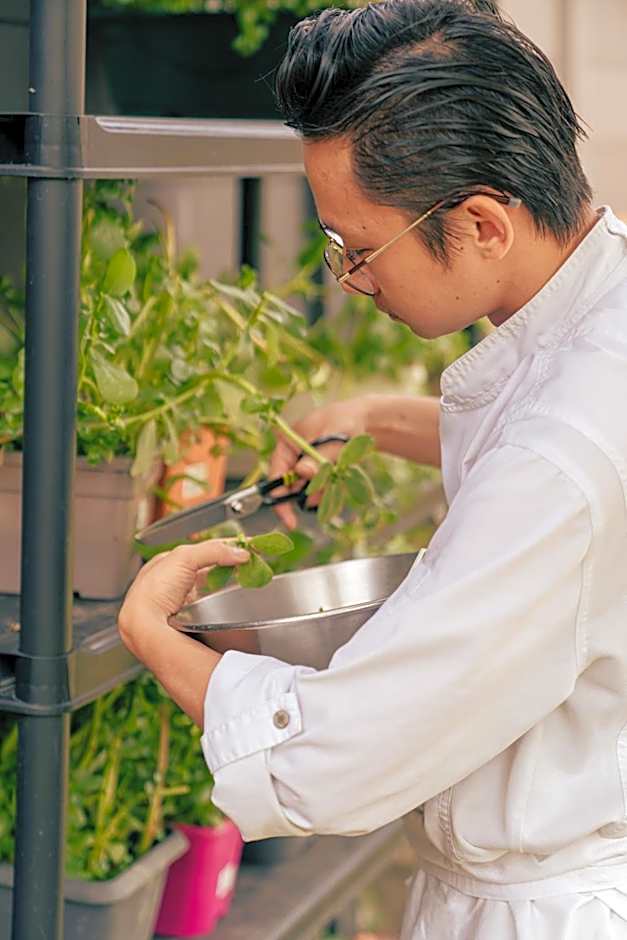 Demeures & Châteaux Auberge de la Tour - Hôtel & Restaurants - Marcolès Auvergne