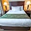 Comfort Suites University Area Notre Dame-South Bend