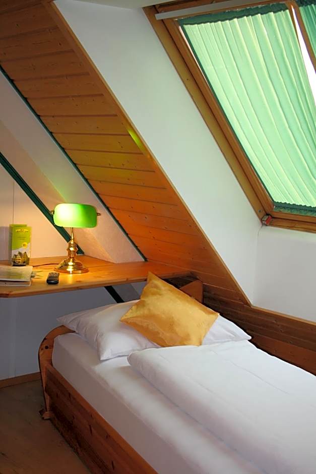 Hotel Asperner Löwe