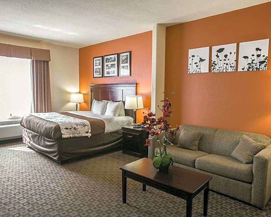 Sleep Inn & Suites Hwy 290/Nw Freeway