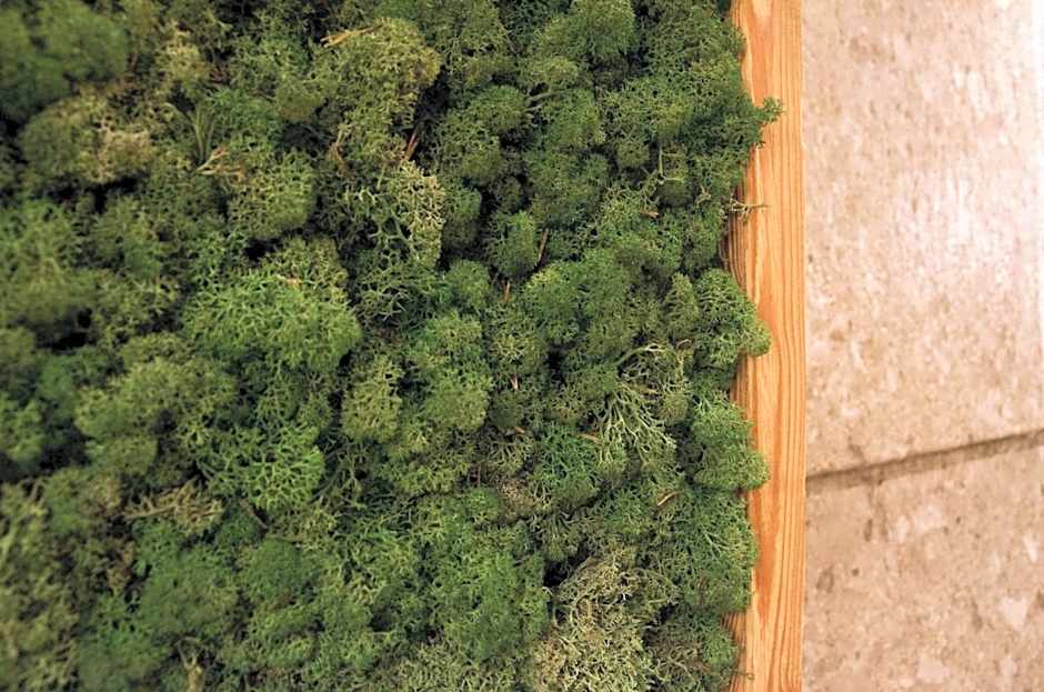 Alledolomiti Boutique Lake Hotel - Adults friendly