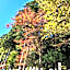 Ichimaru Ryokan - Vacation STAY 77709v