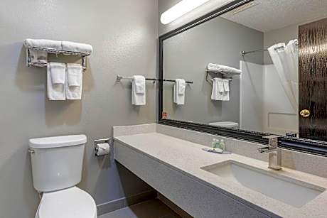 1 King Bed, Suite, Nonsmoking