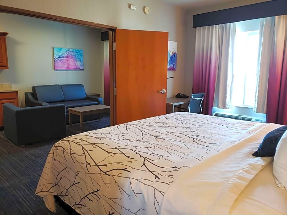 Best Western Plus San Antonio East Inn & Suites