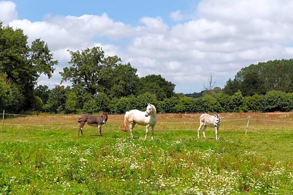 Manoir de la Nogrie - Chambre de charme avec accès privatif - Piscine chauffée sur domaine 5 étoiles à la campagne