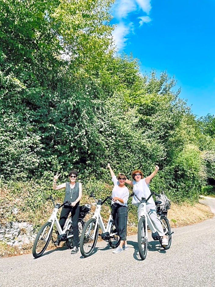 Bed Bike and Breakfast Olten