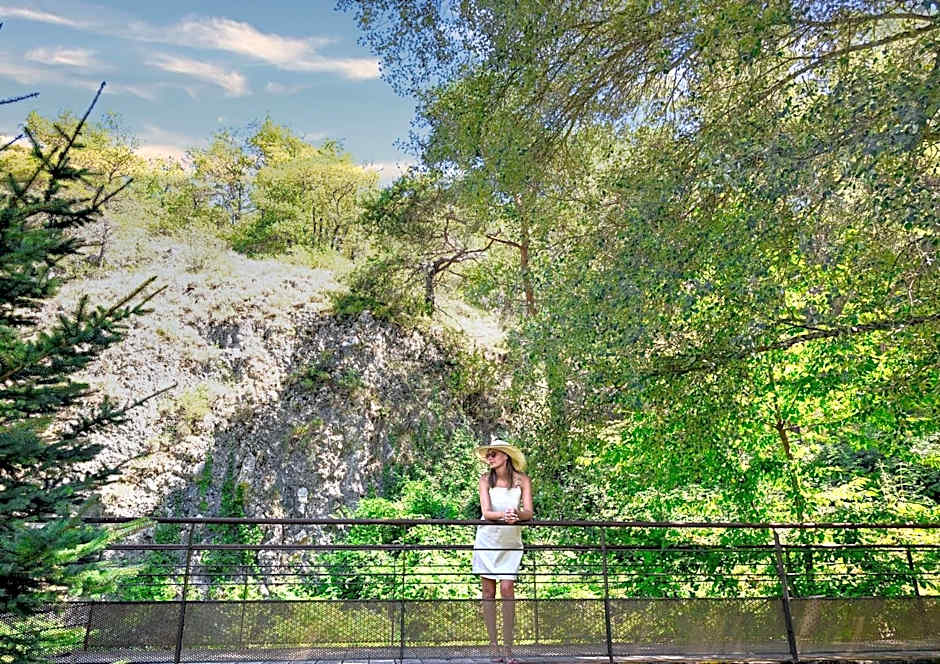 Domaine Ribiera, Hotel 5 Etoiles, SPA & Golf - Forcalquier