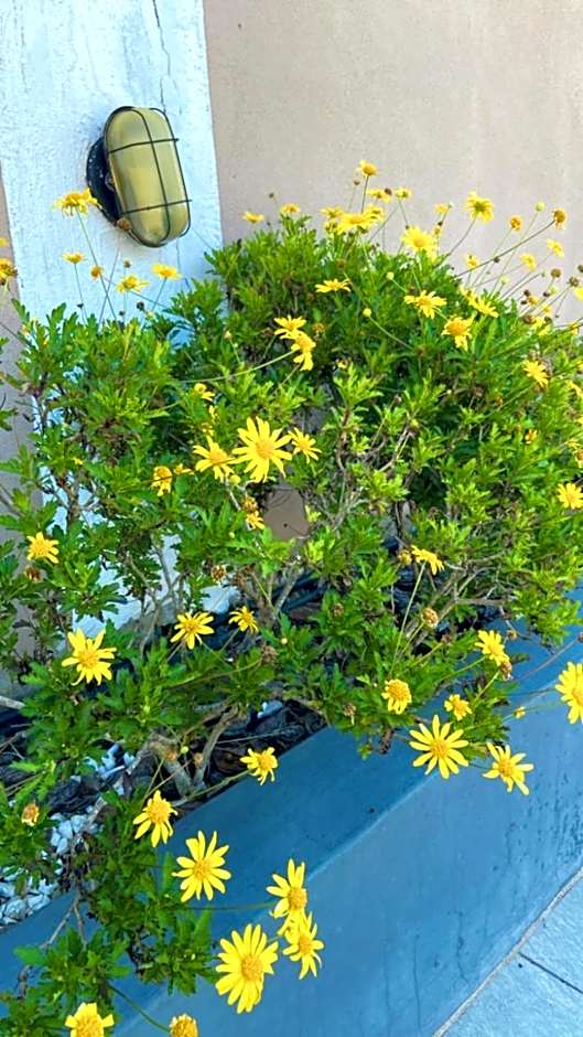 Recanto da Alegria - Casa em Cunha com Jacuzzi,Piscina,Rede,Churrasqueira,Lareira,Deck, Banco de coração