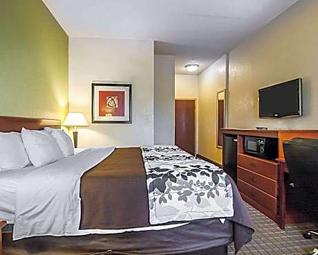 1 King Bed, Nonsmoking