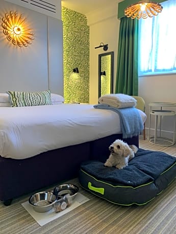 Deluxe Double Room - Dog Friendly