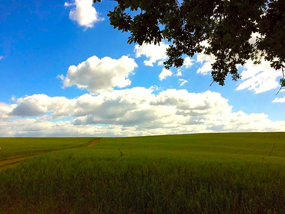 Hotel Tempio di Apollo