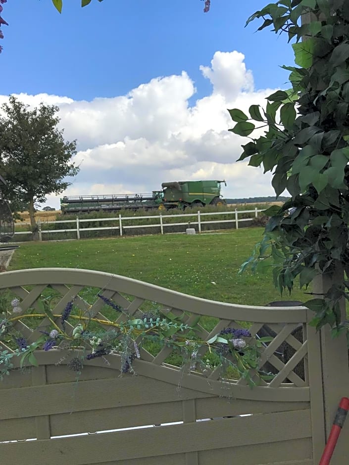 Old Thatch Bambers Green