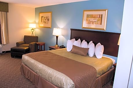 1 King Mobility Accessible Roll In Shower Work Desk Microwave Fridge Wi-Fi NSMK Full Breakfast