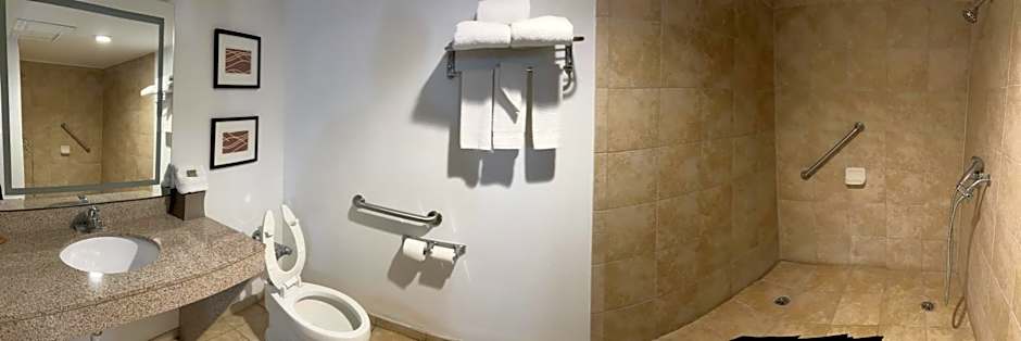 Country Inn & Suites by Radisson, Battle Creek, MI