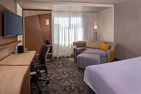 King Room with Sofa Bed